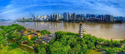 壽縣青少年龍舟隊(duì)出征全國賽，溫州賽場展風(fēng)采